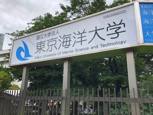 東京海洋大学で行われた海の日イベントに親子で参加